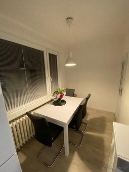 Pronájem bytu Střekov 2+1 - 8