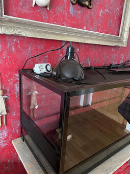 Prodám terarium 120 x 45 x 45 včetně osvětlení a výhřevu - 8