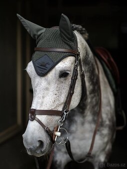 Sada Equestrian Stockholm Avenue Green VS - 8