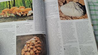 Kniha Houby - česká encyklopedie - vydání první - 8