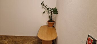 Družstevní podíl–byt 3+1 s balkonem, Chodov u Karlových Var - 8