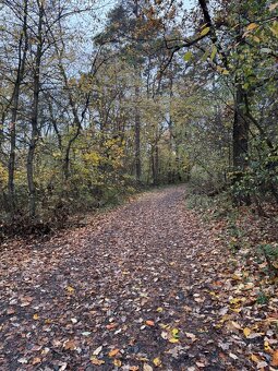 Prodám pozemky v k.ú. Hostivař - 8