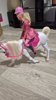 Barbie a chodící kůň - 8