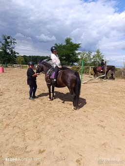 Pony WPBR - 8