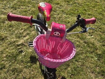 Kolo Scott  V 14. - 8