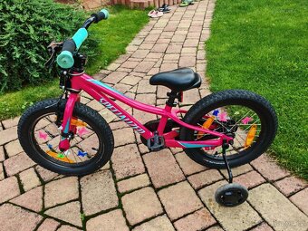 Specialized RIPROCK 12 + kolečka + Trail Gator - 8