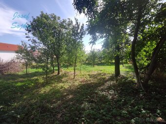 Prodej zahrady v obci Stupěšice, 639m2 - 8