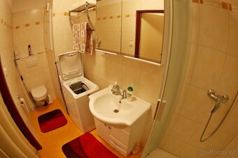Prodej bytu 2+1,55 m²,Plzeň–Slovany,po rekonstrukci,bez RK - 8