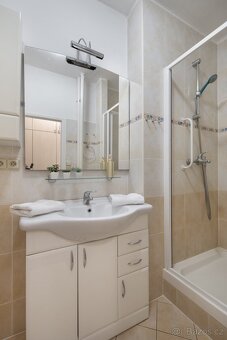 Slunný byt 1+KK / 2+kk 51 m² U Lomů, Plzeň - 8