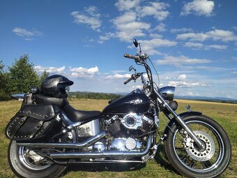 Yamaha XVS 650 dragstar custom Black horse. - 8
