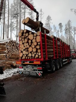 Klanicový návěs,klaničák,bezurkáč,lesovůz,klaďák MEGA - 8
