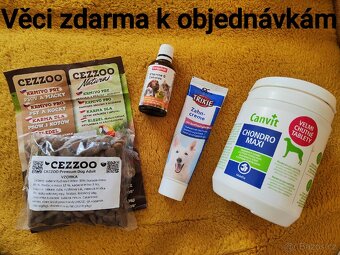 Potřeby pro psy - 8