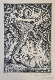 Predám grafické práce Petra Kľúčika. - 8