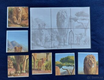 Puzzle (6 dílů) - 8