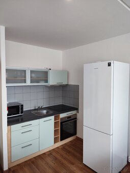 Pronájem bytu 2+kk 45 m² Buková, Praha - Žižkov - 8
