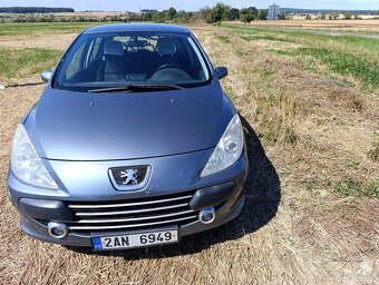 Peugeot 307 . 1,6 benzin - 8