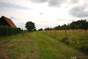 Prodej pozemku k rekreaci či trvalému bydlení s vinným sklep - 8