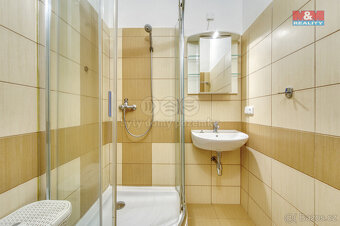 Pronájem bytu 1+1, 50 m², Plzeň, ul. alej Svobody - 8