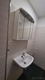Pronájem bytu 1+1 Litomyšl - RK NEVOLAT - 8