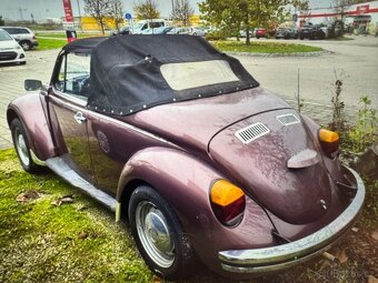 Volkswagen New Beetle - 8