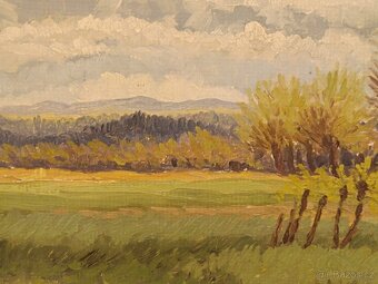Obraz Petr Rýdlo, Jaroměř, olej 46x55 - 8