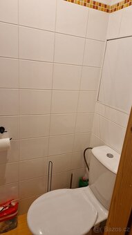 Pronájem bytu 4+1+lodžie v ul. Šumavská v Ústí n.L. - 8