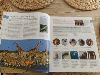 Příroda Velký obrazový průvodce - 8