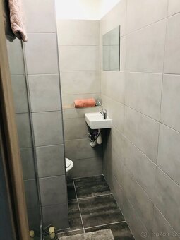 Pronájem 1+1 byt 40 m2 Strakonice - 8