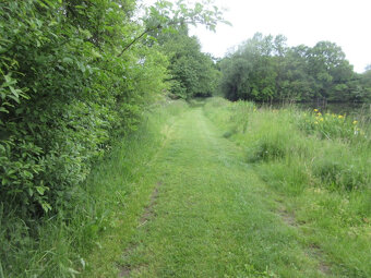 NA PRODEJ - POZEMKY 2.006 m2, BOŠOVICE U ČÍŽOVÉ (PÍSECKO) - 8