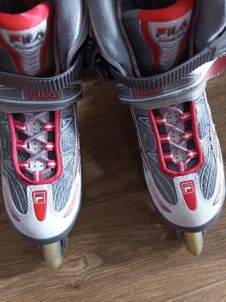 Fila brusle - 8