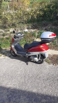 Honda FES 250 Foresight - 8