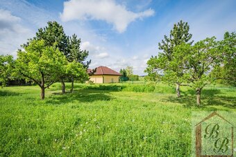 Prodej stavebního pozemku 2.194 m2, obec Němčice, okres Mlad - 8