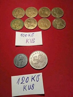 Mince různé druhy - 8