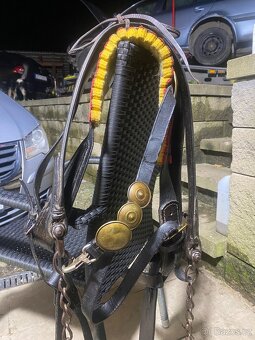 Postroje na poníky do vozu - 8