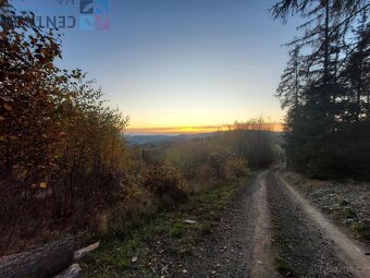Prodej pozemku v blízkosti obce Bzí u Železného Brodu - 8