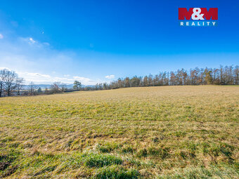 Prodej louky, 11767 m², Benešov - 8