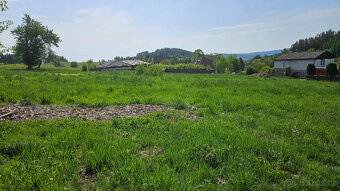 Stavební pozemek Jílové u Držkova - 4564 m2 - 8
