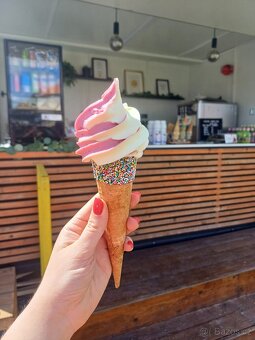 Food truck - vybavený - 8