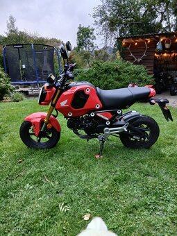 Honda MSX 125 Grom JC 92 - 8