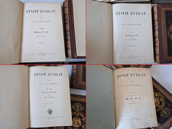Brehmův život zvířat I. vydání 1879-85 Brehm PV nakl. Otto - 8