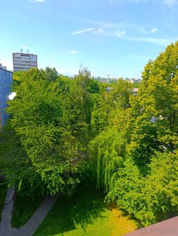 Pronájem bytu 2+1 55 m² Sokolovská, Ostrava - Poruba - 8