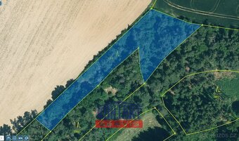 Prodej unikátních lesních pozemků v katastrálním území Hodyn - 8