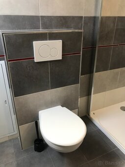 Byt k pronájmu 1+kk (32,9 m2) - 8