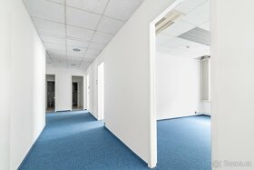 Pronájem kancelářských prostor, 324 m2, Na příkopě, Praha -  - 8
