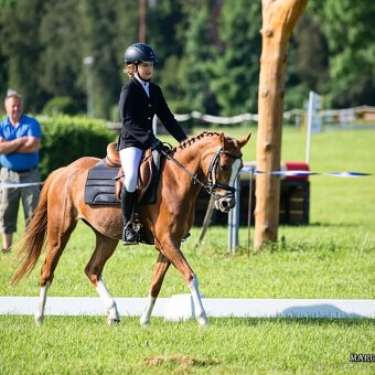 Pony do sportu - 8