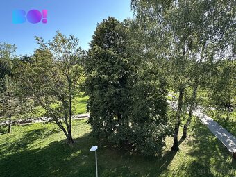 Prodej bytu 2+1, Ostrava - Zábřeh - 8