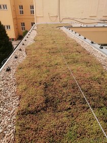 Hydroizolace střech, PVC + TPO + zemni vlhkost + asfalt - 8