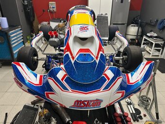 motokára ROK GP MS BLUE PHOENIX + motor - 8