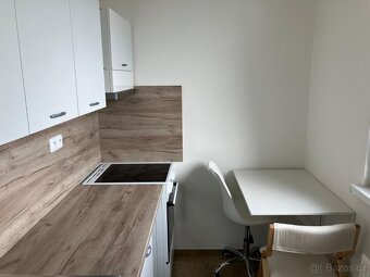 Byt 1+1, 38 m², F. L. Čelakovského 1 - 8