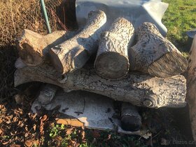 Ořešák proschlý, prkna, špalky - 8